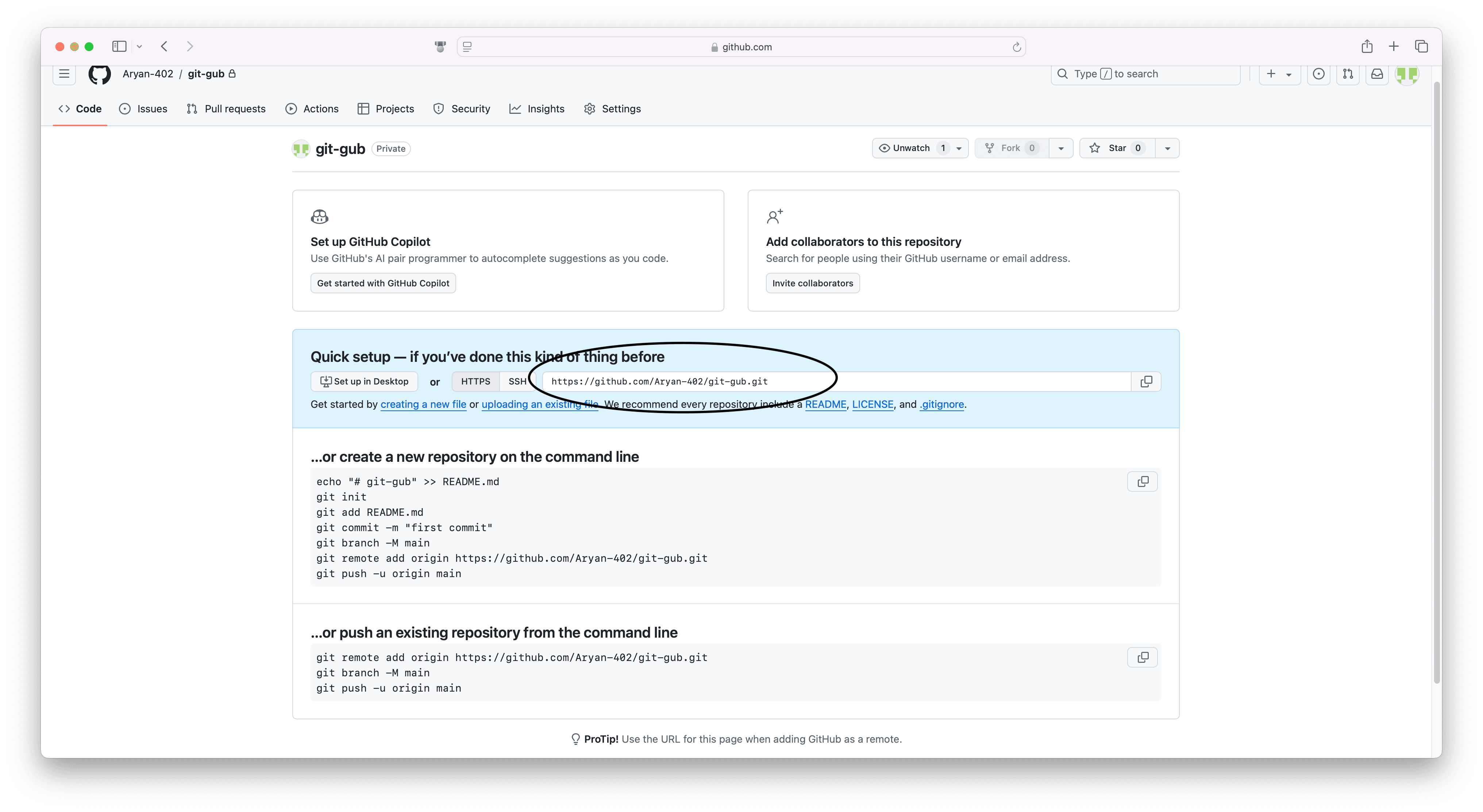 repo link of github